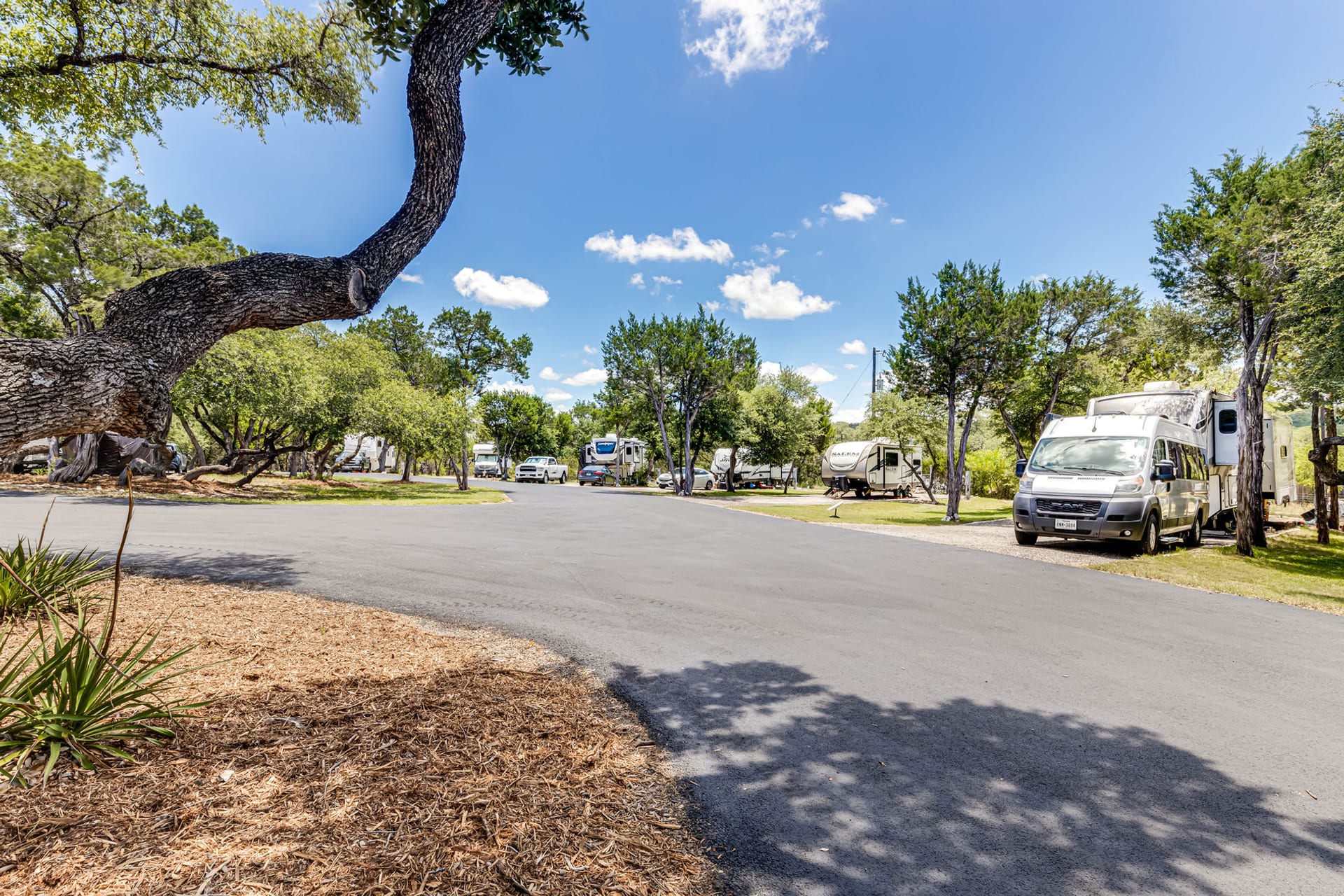 Park grounds at Sienna Ridge RV Park